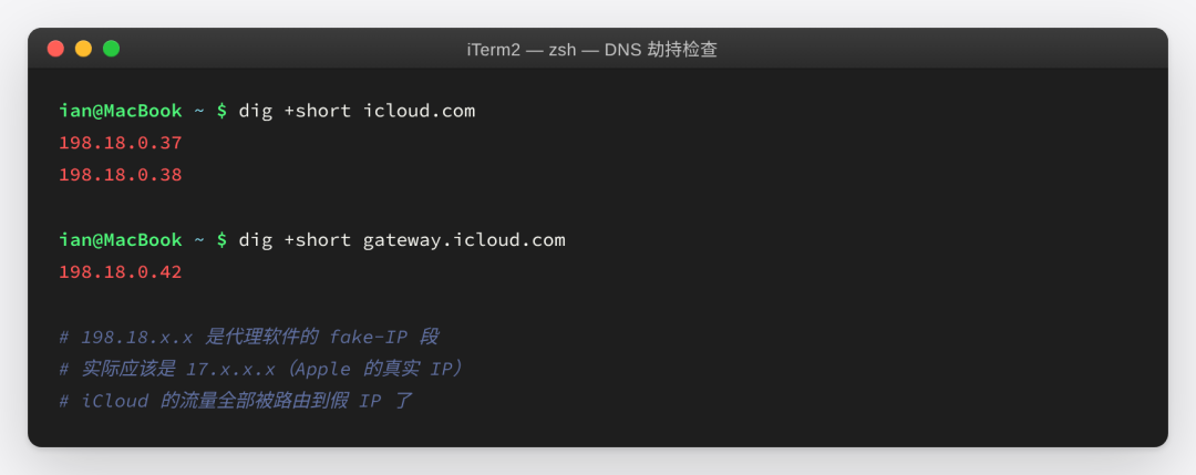 DNS 被劫持到 198.18.x.x 的 fake-IP 段